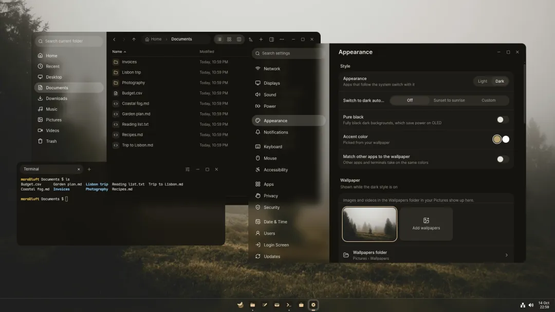 The Luft desktop with Rover and Settings open