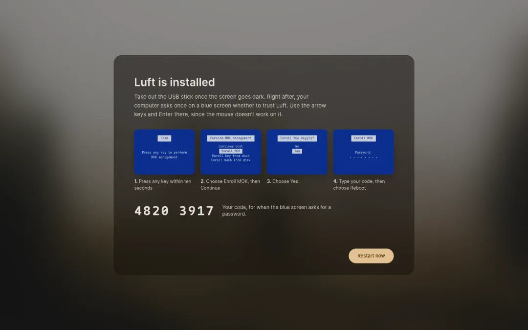 Install Luft showing the steps for the blue screen and the code to type